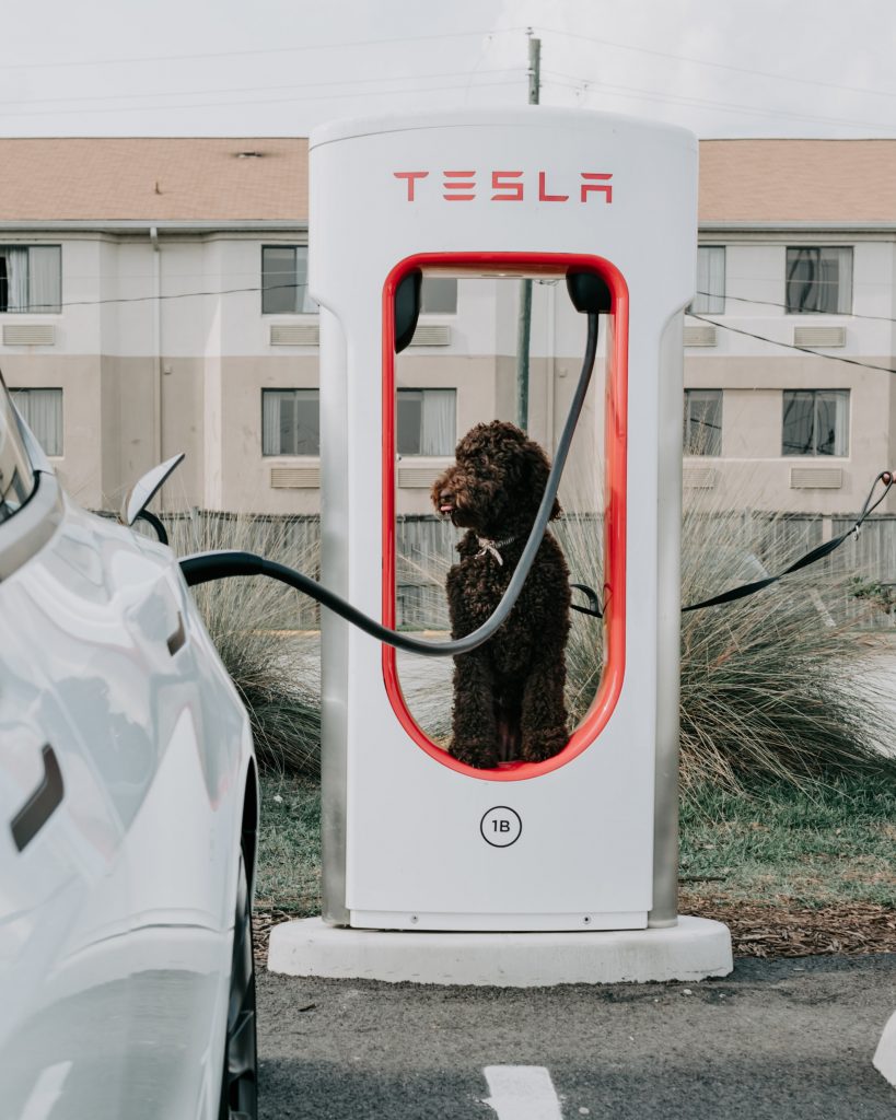 stacje ładowania samochodów elektrycznych